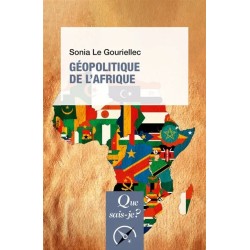 Géopolitique de l'Afrique