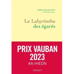 Le labyrinthe des égarés : l'Occident et ses adversaires