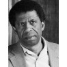 Dany Laferrière